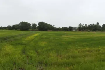 Land for sale in Nong Krot, Nakhon Sawan