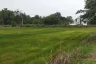 Land for sale in Nong Krot, Nakhon Sawan
