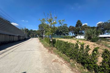 Land for sale in Nong Prue, Chonburi