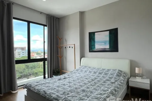 1 Bedroom Condo for rent in The Nimman By Palm Springs, Suthep, Chiang Mai