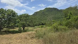 Land for sale in Sam Roi Yot, Prachuap Khiri Khan