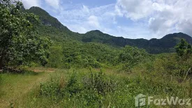 Land for sale in Sam Roi Yot, Prachuap Khiri Khan