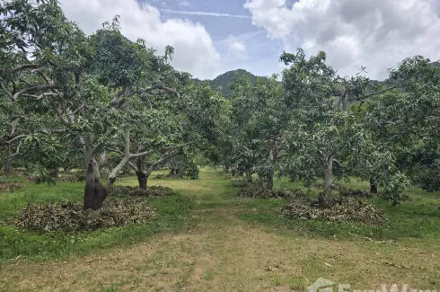 Land for sale in Sam Roi Yot, Prachuap Khiri Khan