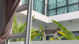 4 Bedroom House for rent in Chiangmai Lake Land, Suthep, Chiang Mai