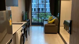 1 Bedroom Condo for rent in Venio Sukhumvit 10, Khlong Toei, Bangkok near BTS Asoke