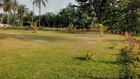 Land for sale in Na Toei, Phang Nga