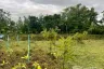 Land for sale in Nong Nam, Lamphun