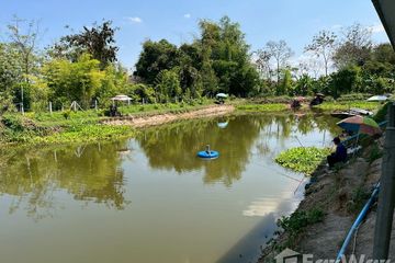 Land for sale in Nong Nam, Lamphun