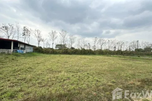 Land for sale in Chom Phu, Chiang Mai