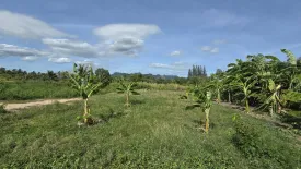 Land for sale in Sam Roi Yot, Prachuap Khiri Khan