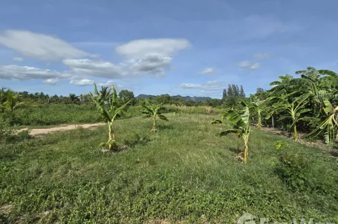 Land for sale in Sam Roi Yot, Prachuap Khiri Khan