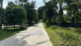 Land for sale in Mae Nam, Surat Thani