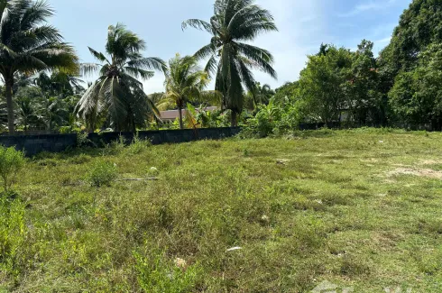 Land for sale in Mae Nam, Surat Thani