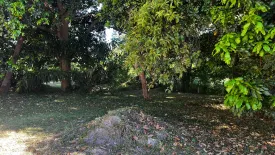 Land for sale in Bo Phut, Surat Thani