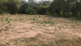 Land for sale in Mueang, Loei