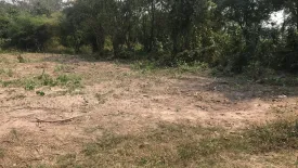 Land for sale in Mueang, Loei