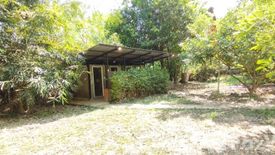 Commercial for rent in Mae Raem, Chiang Mai