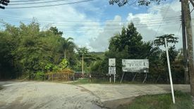 Land for sale in Choeng Thale, Phuket