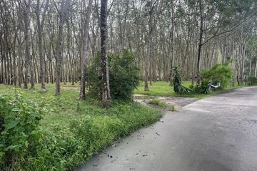 Land for sale in Choeng Thale, Phuket