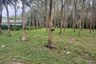 Land for sale in Choeng Thale, Phuket