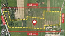 Land for sale in Huai Sak, Chiang Rai