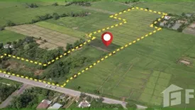 Land for sale in Huai Sak, Chiang Rai