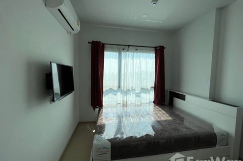 1 Bedroom Condo for rent in The Tree Sukhumvit 71 - Ekamai, Suan Luang, Bangkok near Airport Rail Link Ramkhamhaeng