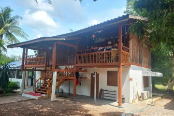 Land for sale in Phra That Pha Daeng, Tak