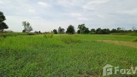 Land for sale in Kham Thale So, Nakhon Ratchasima