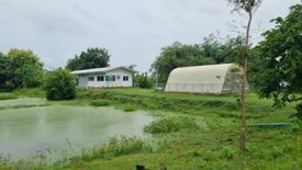 Land for sale in Khan Rai, Ubon Ratchathani