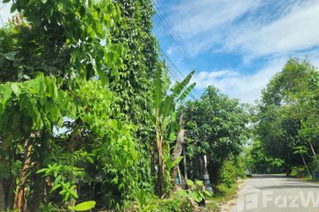 Land for sale in Mai Khao, Phuket