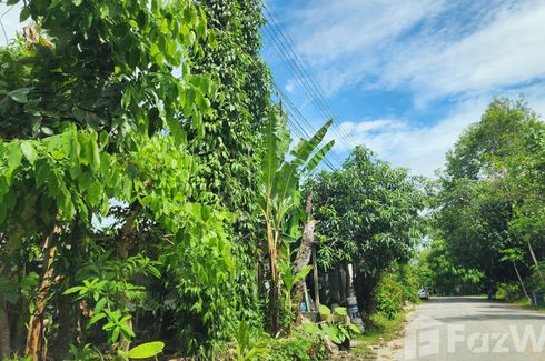 Land for sale in Mai Khao, Phuket