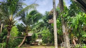 Land for sale in Mai Khao, Phuket