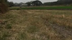 Land for sale in Tan Diao, Saraburi