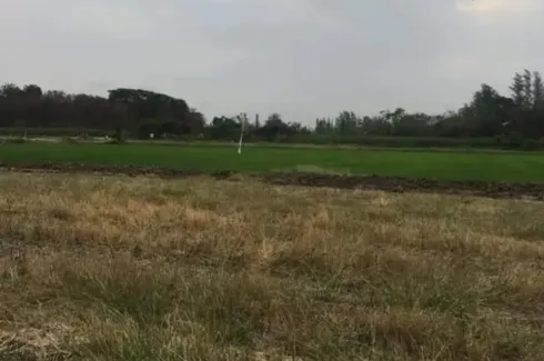 Land for sale in Tan Diao, Saraburi