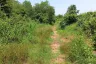 Land for sale in Wang Dan, Prachin Buri