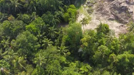 Land for sale in Ban Tai, Surat Thani
