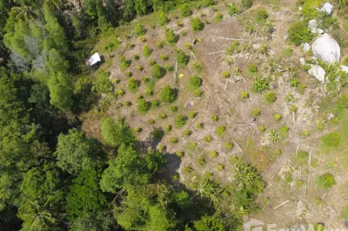 Land for sale in Ban Tai, Surat Thani