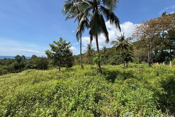 Land for sale in Ko Pha-ngan, Surat Thani