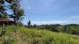 Land for sale in Ko Pha-ngan, Surat Thani