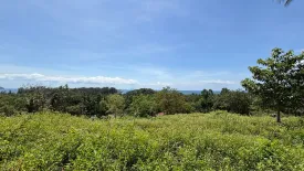 Land for sale in Ko Pha-ngan, Surat Thani