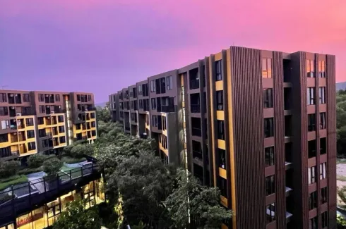 1 Bedroom Condo for rent in THE BASE Central-Phuket, Wichit, Phuket