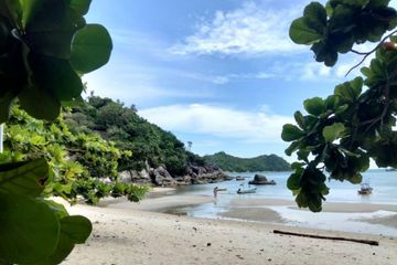 Land for sale in Ko Pha-ngan, Surat Thani
