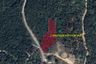 Land for sale in Ban Tai, Surat Thani