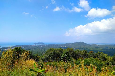 Land for sale in Ban Tai, Surat Thani