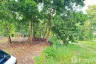 Land for sale in Ko Pha-ngan, Surat Thani