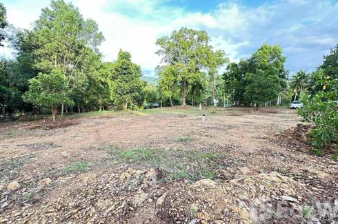Land for sale in Ko Pha-ngan, Surat Thani