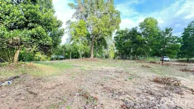 Land for sale in Ko Pha-ngan, Surat Thani
