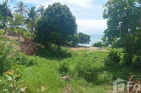 Land for sale in Ko Pha-ngan, Surat Thani