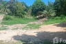 Land for sale in Ko Pha-ngan, Surat Thani